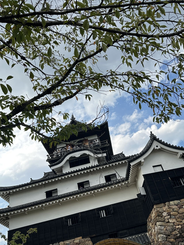 犬山城國寶天守