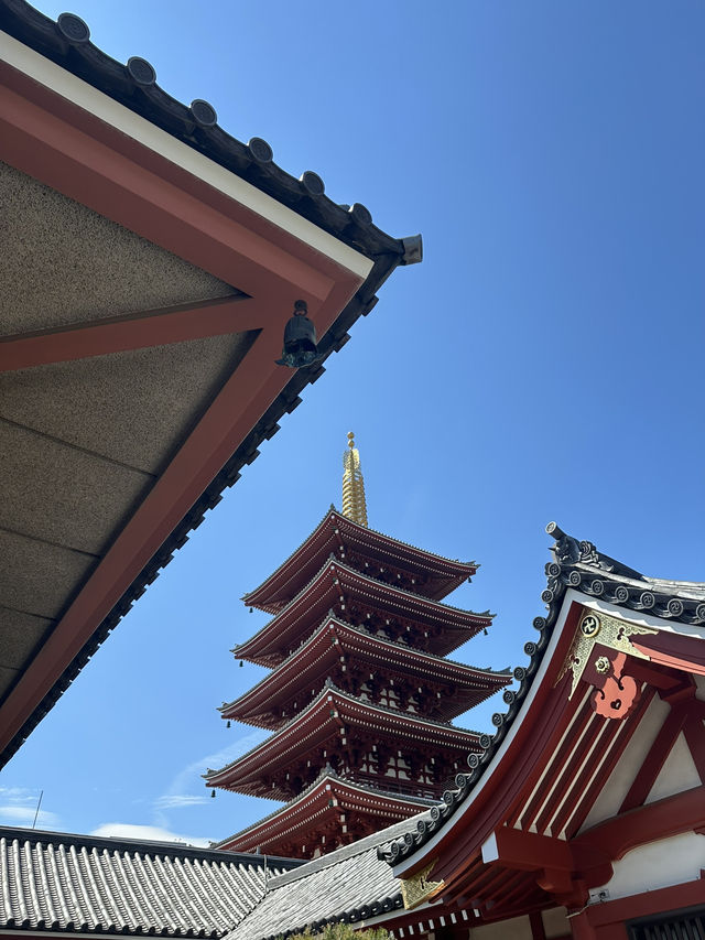 Tradition to Tokyo Views: A Day Around the City 🗼🇯🇵 Tradition to Tokyo Views: A Day Around the City 🗼🇯🇵
