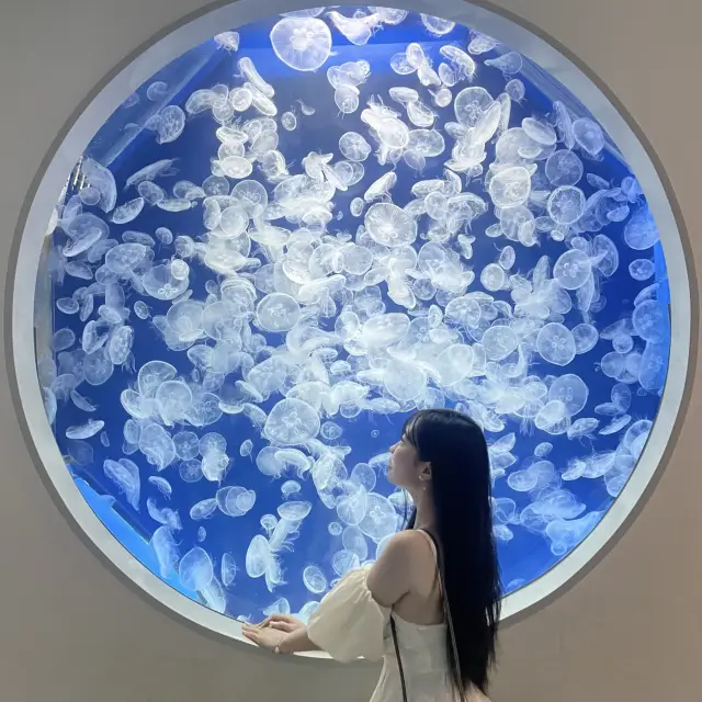 桃園 Xpark — 彷彿海洋世界就在手中般的水族主題公園