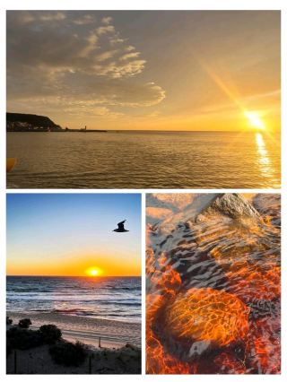 #perthonbudget
🌊☀️ Scarborough Beach – Perth’s Coastal Playground! 🏖️🌴

One of Perth’s most iconic beaches, Scarborough Beach is all about sun, surf, and seaside vibes. With golden sand, buzzing cafes, and a lively foreshore, it’s a top spot for beach lovers and families alike. 🏄♂️🍦

📍 Location: Scarborough, about 14 km northwest of Perth CBD 🏙️
💰 Ticket Price: Free entry 🎉
⏰ Opening Hours: Open daily, 24 hours ⏳

🌟 Highlights:

Long stretch of white sandy beach perfect for swimming & sunbathing 🏖️🌞

Popular for surfing, kite surfing & bodyboarding 🏄♀️🪁

Vibrant foreshore precinct with cafes, restaurants & bars ☕🍹

Family-friendly playgrounds & open spaces 👶🌳

Weekly sunset markets & events in summer 🎶🌅

Breathtaking Indian Ocean sunsets 🌊🌇


🚗 How to Reach: Just a 20-min drive from Perth CBD. Public buses also connect Scarborough with the city 🚙🚌.

Whether you’re after an active surf session, a family picnic, or a romantic sunset stroll, Scarborough Beach has it all. 🌴✨

#ScarboroughBeach #PerthBeaches #IndianOceanViews #PerthLife

