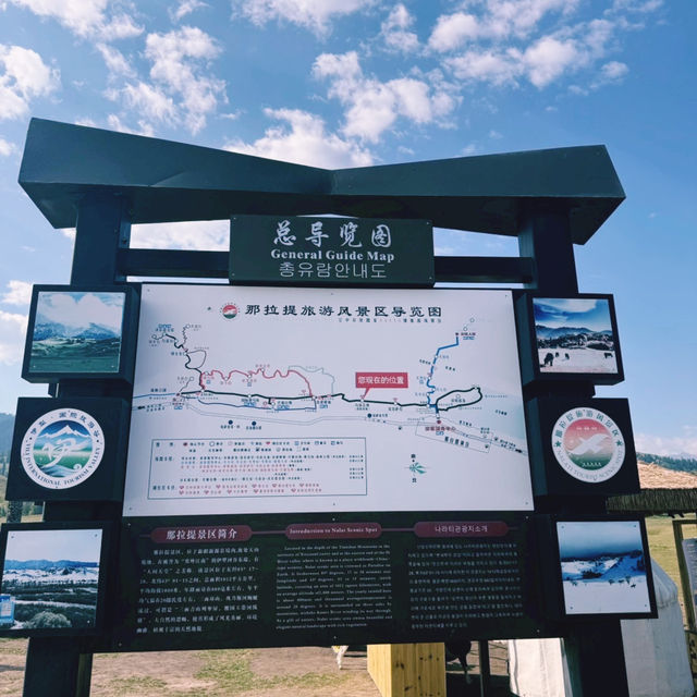 ทุ่งหญ้านาราถี (Nalati Grassland) 