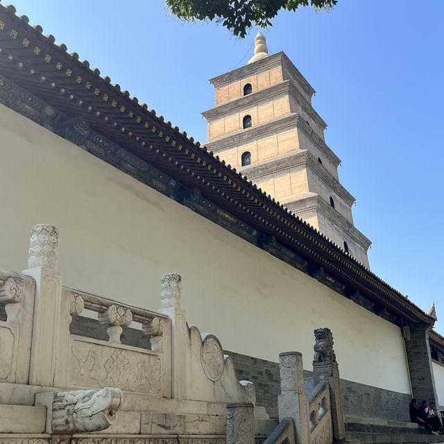 🕰 Day Trip in Xi’an — From Tang Dynasty Heritage to Modern Lights