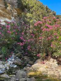 Avakas Gorge A Natural Wonder of Cyprus