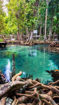 กระบี่ไม่ใช่แค่ปลายทาง...แต่คือความทรงจำที่ทะเลบอกเล่าได้ทุกคลื่น