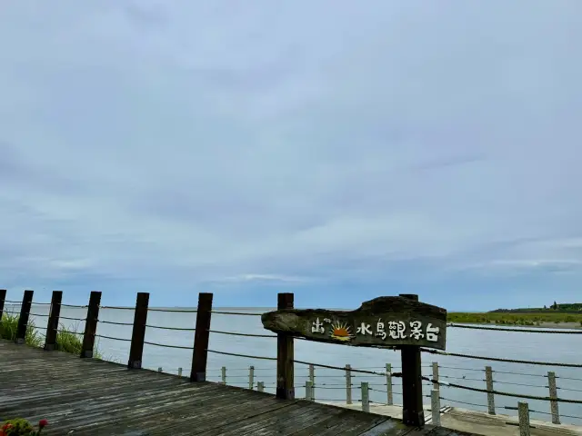 🚴 Cycling Hualien – From Riverside Bridges to Seaside Horizons 