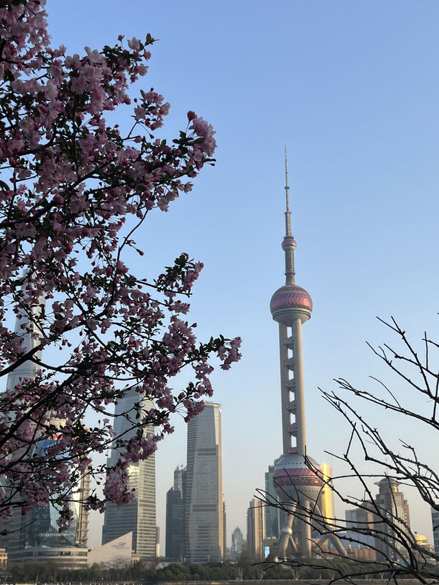 🇨🇳 Shanghai & Hangzhou 8D7N Free & Easy Itinerary 