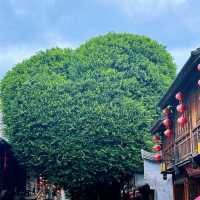 8 Days in Fuzhou