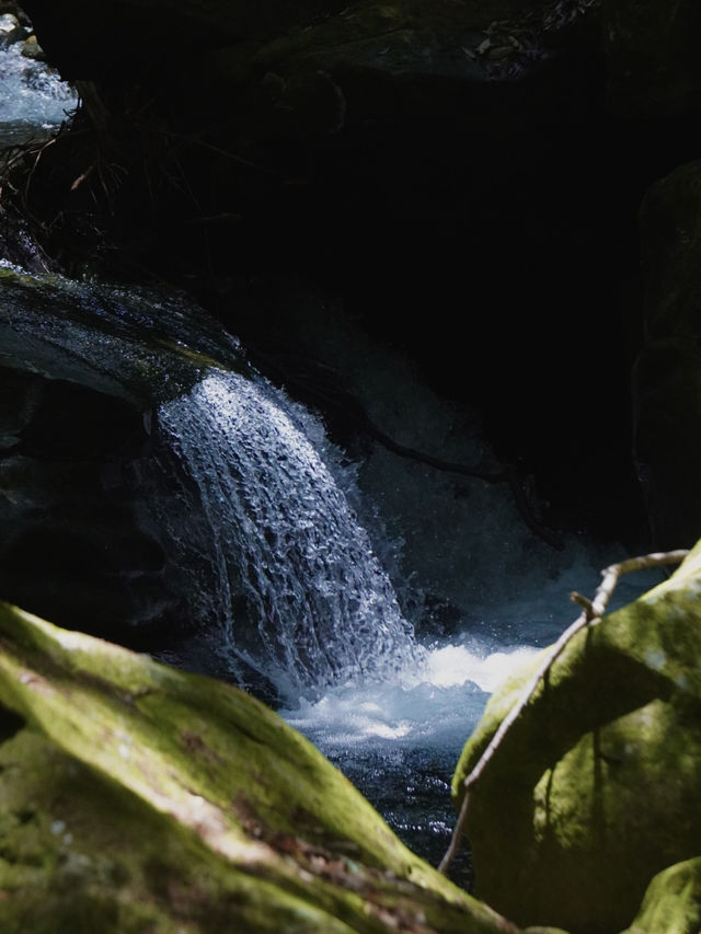 💧 富田の水と山道の小さな滝（和歌山・白浜町）