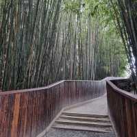 Hamilton Gardens