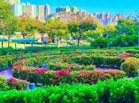 Green Escape in the City: Discovering Jordan Valley Park