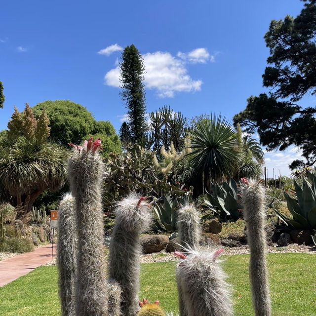 馬尼拉熱帶花園必去Chill景點🌴