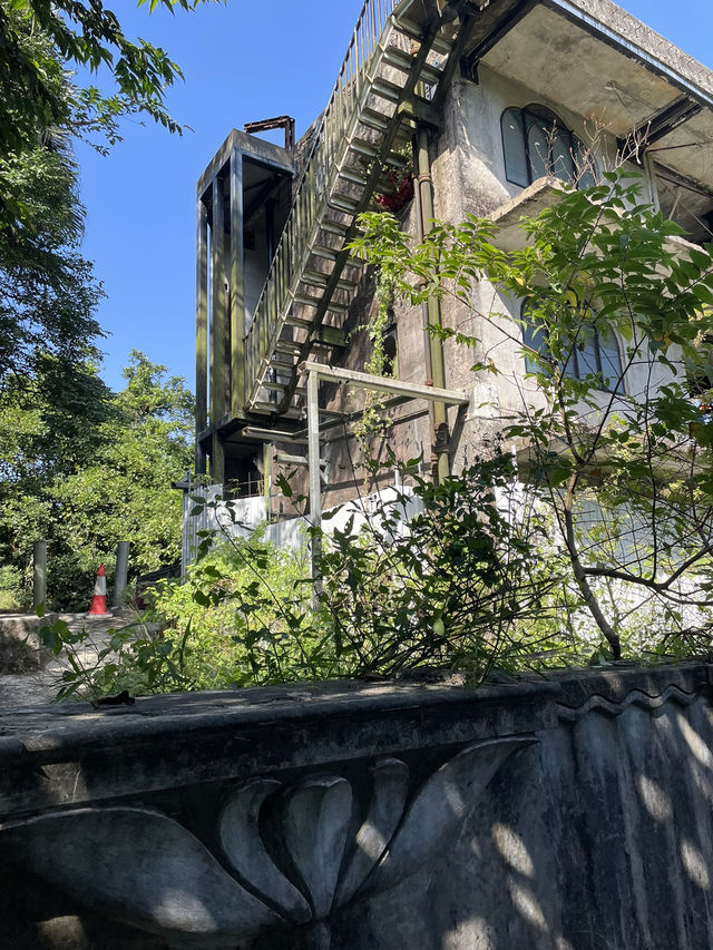 感受芒草包圍