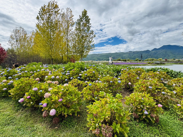 《候鳥灣生態公園：湖光山色裡的自在小憩》