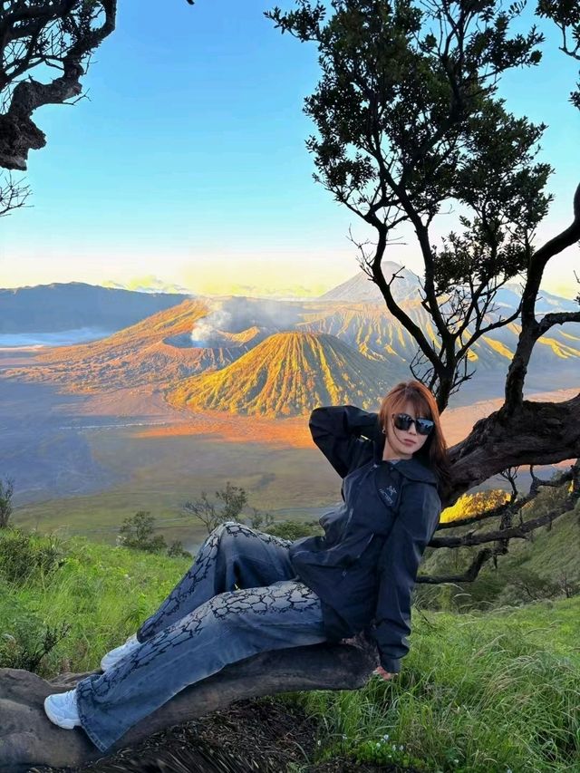 Volcano Sunrise Views🌋