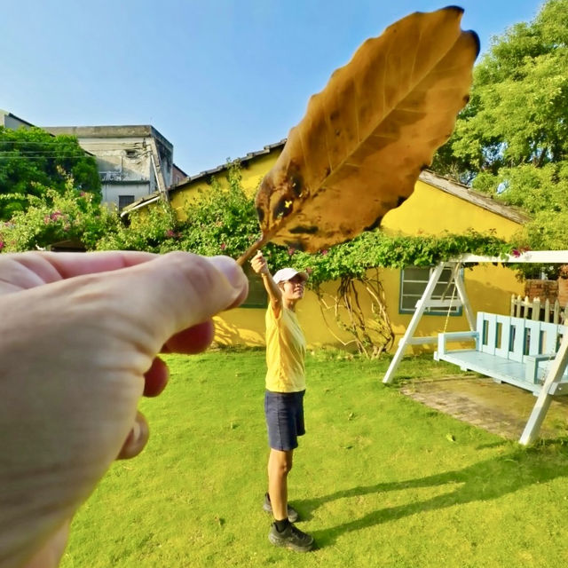 雲林口湖| 椬梧鐵花窗~小村的溫暖記憶! 雲林口湖| 椬梧鐵花窗~小村的溫暖記憶!