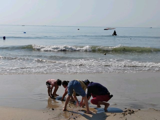金町湾沙灘，七公里原生海岸線，水清沙幼白沙灘