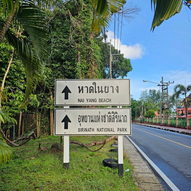 🌟หาดในยาง หาดสวยใกล้สนามบินภูเก็ต🌟