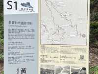 黃泥涌峽徑：重踏戰火記憶，尋找英雄足跡