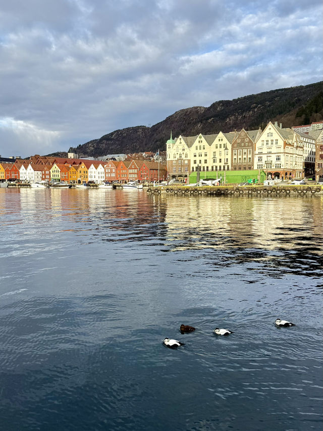 🏰 Romantic Streets of Bergen, Norway