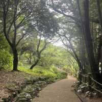 Halla Arboretum, Jeju Island,S.Korea