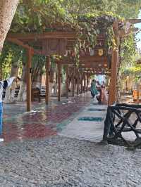 The Underground Great Wall—Karez