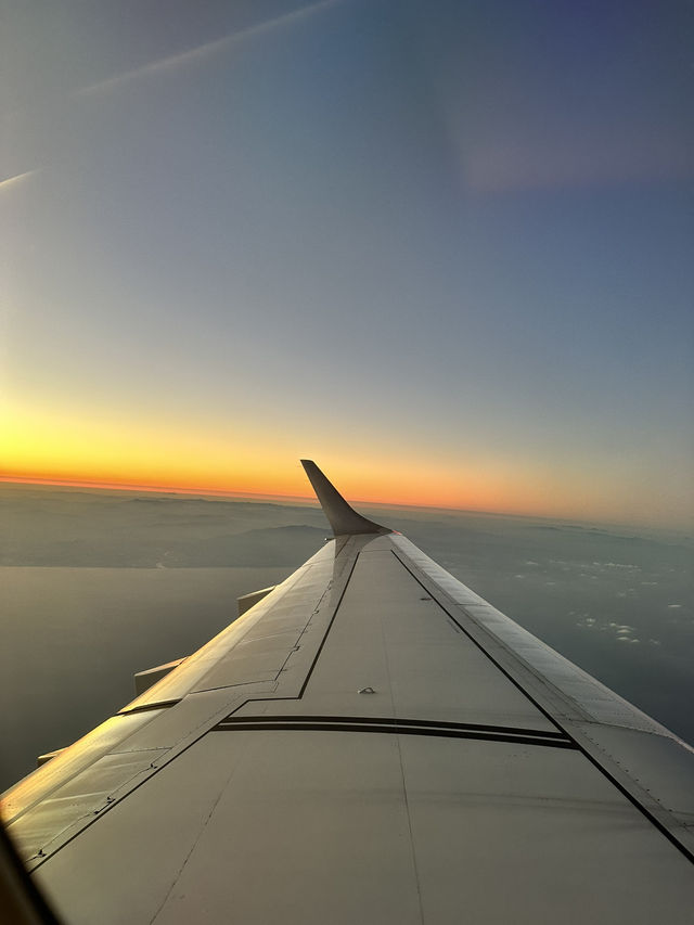 ブーゲンビリアが咲き誇る空港