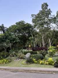 🌳都会のオアシスで深呼吸|Perdana Botanical Garden(ペルダナ植物園)
