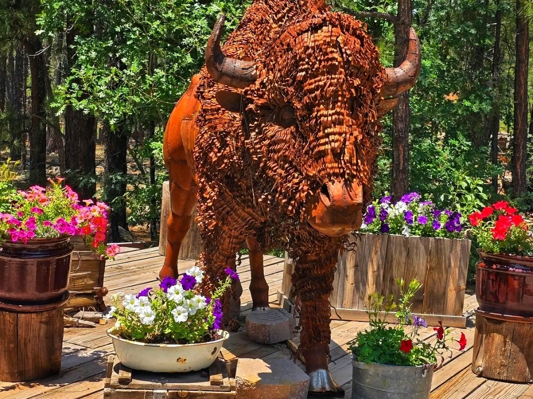 🐻 Bearizona Wildlife Park – A Wild Adventure in Williams, Arizona