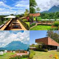 ☕ TATA Chiang Dao — คาเฟ่ + ฟาร์ม วิวดอยหลวงเชียงด