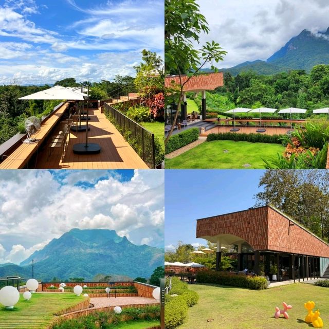 ☕ TATA Chiang Dao — คาเฟ่ + ฟาร์ม วิวดอยหลวงเชียงด
