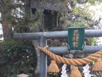 【富山・雨晴海岸】義経伝説が残る絶景スポット「義経岩」🌊⛰️
