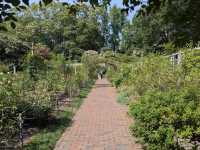Brooklyn Botanic Garden