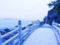 🌊 太平洋を望む絶景スポット・桂浜
