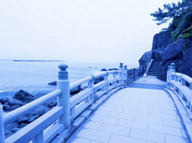 🌊 太平洋を望む絶景スポット・桂浜