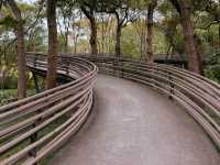 Enchanting Experience at White Snake Bridge