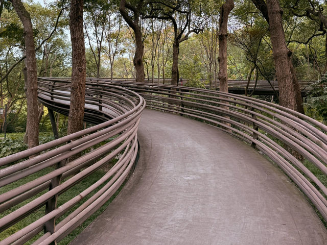 Enchanting Experience at White Snake Bridge