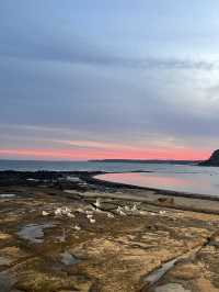 Newcastle最chill海邊泳池💙海浪燈塔 夢幻打卡勝地🌅