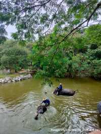 😄😸👉 มือใหม่เที่ยว 2 วัน 1 คืน ที่พัทยา