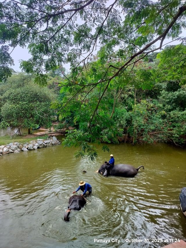 😄😸👉 มือใหม่เที่ยว 2 วัน 1 คืน ที่พัทยา 😄😸👉 มือใหม่เที่ยว 2 วัน 1 คืน ที่พัทยา