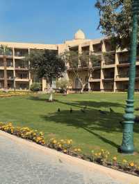 ๐ด ๋ฉ๋ฆฌ์ดํธ ๋ฉ๋ํ์ฐ์ค ์นด์ด๋ก, ํผ๋ผ๋ฏธ๋๋ฅผ ํ์ ์ ์ ๐๏ธ