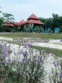 Paya Indah Wetlands: A Scenic Escape of Nature, Wildlife, and Fun