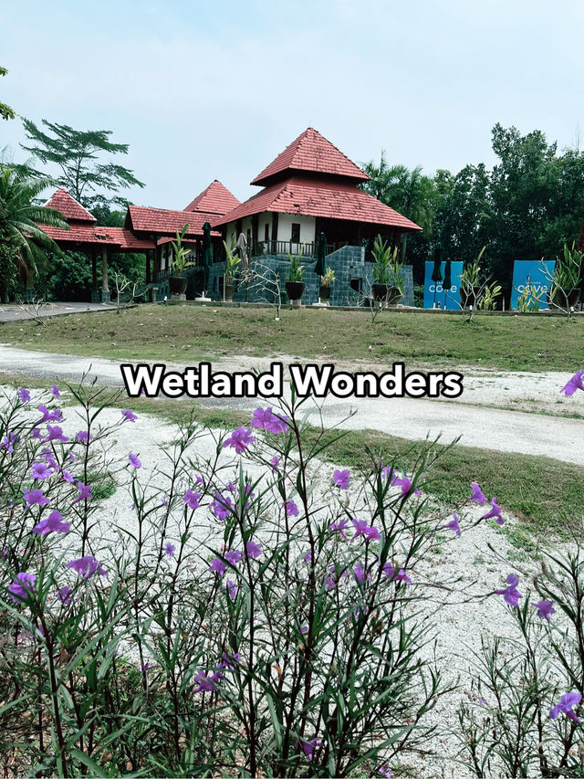 Paya Indah Wetlands: A Scenic Escape of Nature, Wildlife, and Fun Paya Indah Wetlands: A Scenic Escape of Nature, Wildlife, and Fun