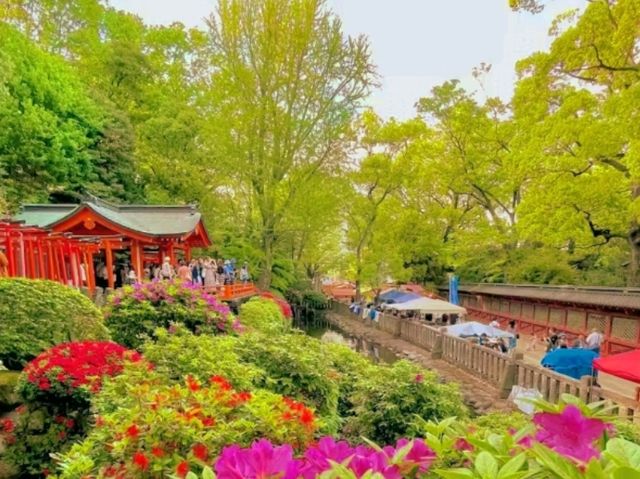 🌸 Nezu Shrine – A Serene Escape in Tokyo’s Old Neighborhood