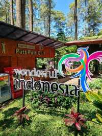 Orchid Forest Cikole: A Nature Escape