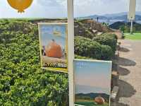 ✨️自駕遊日本🇯🇵淡路島洋蔥打卡攻略🧅📸