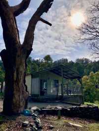Best Friend Holiday Retreat：在 Tarra Valley 遇见最简单的快乐