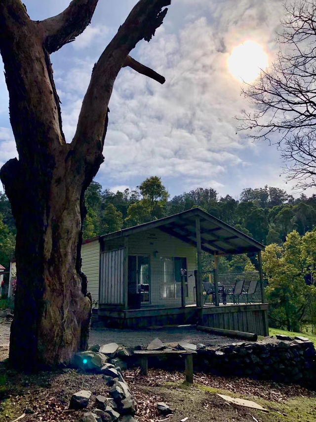 Best Friend Holiday Retreat：在 Tarra Valley 遇见最简单的快乐