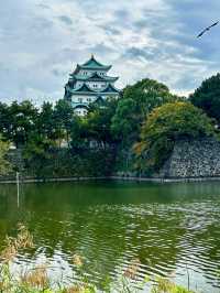 🇯🇵名古屋✈️江戶時代的輝煌與威嚴「名古屋城」