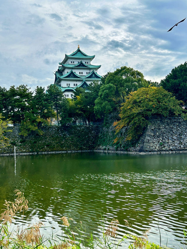 🇯🇵名古屋✈️江戶時代的輝煌與威嚴「名古屋城」 🇯🇵名古屋✈️江戶時代的輝煌與威嚴「名古屋城」