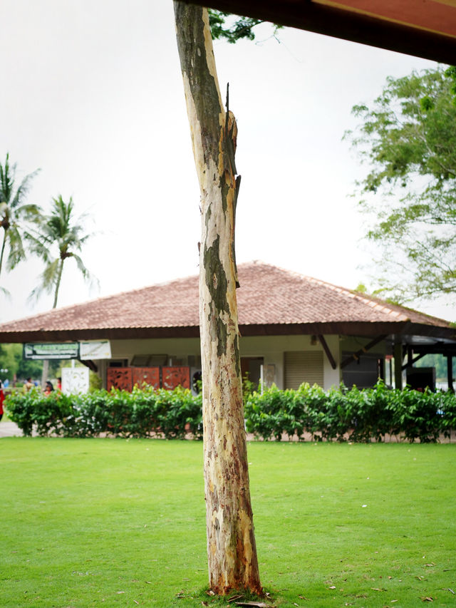 🍃 Putrajaya Botanical Garden: Calm, Green, and Refreshing 🍃